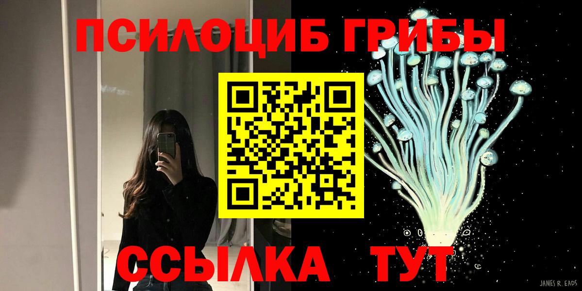 Псилоцибиновые грибы MAGIC MUSHROOMS  Вход с VPN  Горно-Алтайск  Галлюциногенные грибы Cubensis 